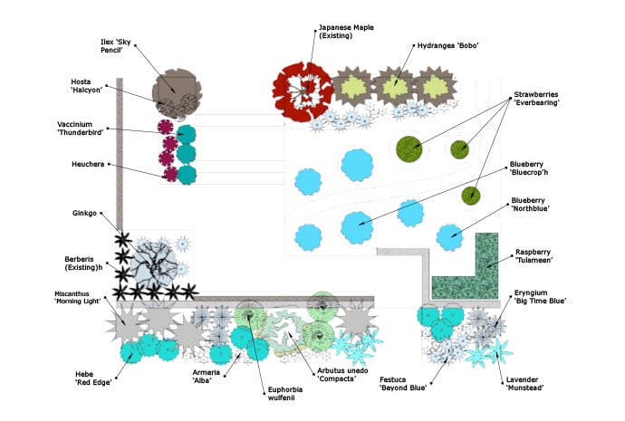 Full Scale Plantings